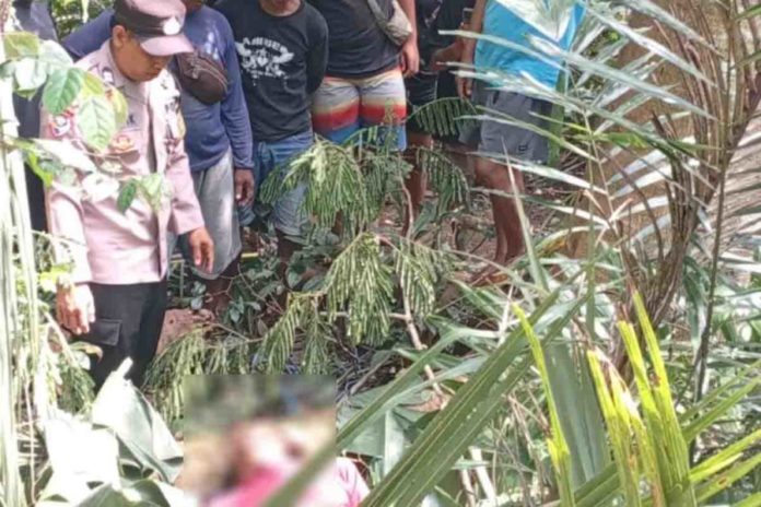 Penebang Pohon Tewas Jatuh Dari Pohon 1
