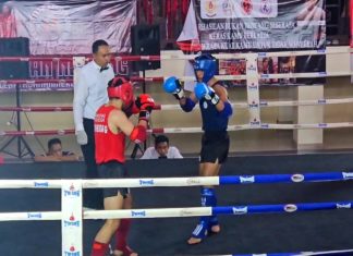 Raih 7 Medali Emas, Klungkung Sabet Juara Umum Muaythai Porprov Bali 2025