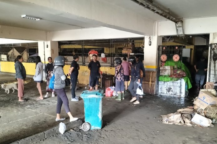 Ratusan Pedagang Pasar Kumbasari Direlokasi Sementara Ke Pelataran Pasar Badung 1