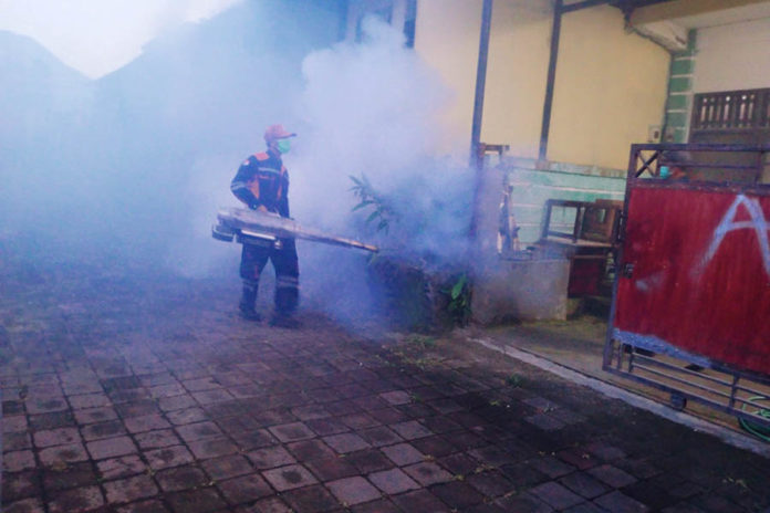 Sampai Agustus, DBD Di Karangasem Tembus 1.356 Kasus 1