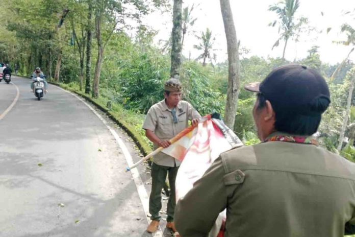 Satpol PP Gianyar Tertibkan Puluhan Banner Dan Spanduk Liar 1