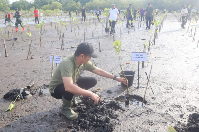 1.500 Bibit Pohon Ditanam Di Hilir Pura Pekendungan 1