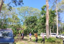 Awig-awig Pelestarian Hutan Desa di Wanagiri Bentuk Jaga Kelestarian Alam