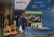 Cerita AgenBRILink “Irnaeni”, Penghubung Akses Keuangan Petani Kakao dan Komunitas Perempuan di Papua
