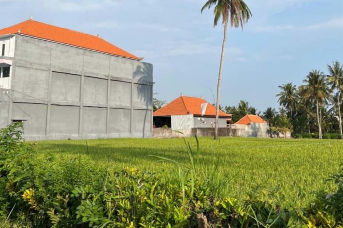 Dari Lumpur Ke Beton: Kisah Petani Dan Sawah Di Ujung Waktu 1