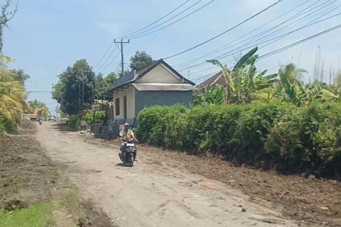 Didanai APBN, Jalan Awen Pengambengan Menuju Pelabuhan Perikanan Diperlebar 1