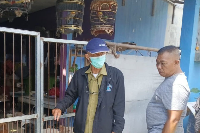Distan Gianyar Atur Zonasi Penampungan Hewan 1