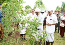 Gubernur Koster Tinjau Taman Gumi Banten dan Usadha di Besakih