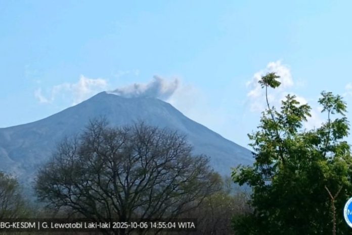 Gunung Lewotobi Laki Laki Kembali Erupsi 1