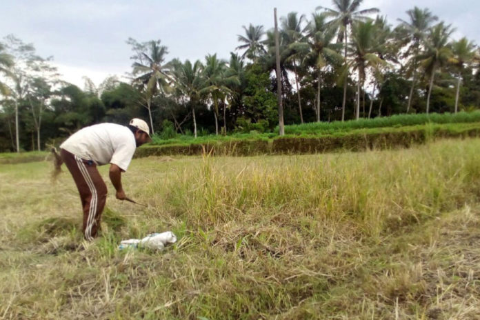 Insentif Bagi Pemilik LP2B Belum Terealisasi 1