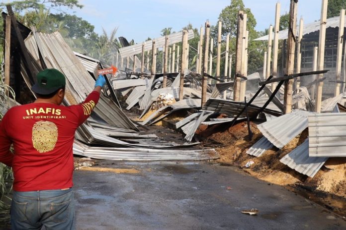Kandang Di Penglumbaran Terbakar, Peternak Ayam Rugi Rp 2 Miliar 1