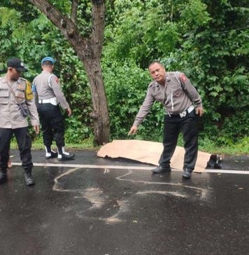 Pelajar SMA Tewas dalam Kecelakaan Maut di Gilimanuk, Truk Box Melarikan Diri