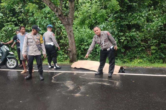 Pelajar SMA Tewas Dalam Kecelakaan Maut Di Gilimanuk, Truk Box Melarikan Diri 1