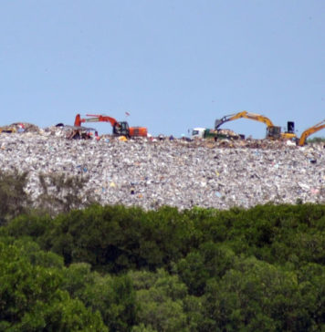 Danantara akan Miliki Sedikitnya 30 Persen Saham Tiap WtE