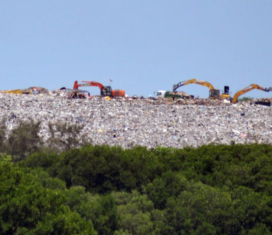 Pemerintah Percepat Pembangunan PSEL, Tetapkan Dua Tahapan Berbasis Aglomerasi