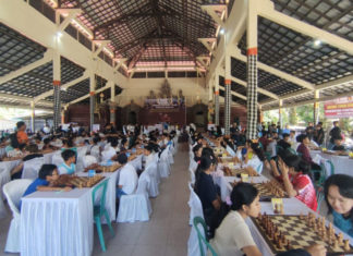 Percasi Bali Jaring Bibit Muda Catur