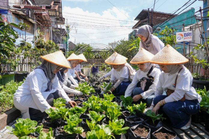 Peringati Hari Pangan Sedunia, BRI Peduli Tegaskan Komitmen Dukung Ketahanan Pangan Melalui Panen Raya BRInita 1