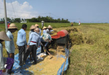 Perusda Sanjayaning Singasana Gandeng BUMDes Wujudkan Ekonomi Desa yang Terkontrol