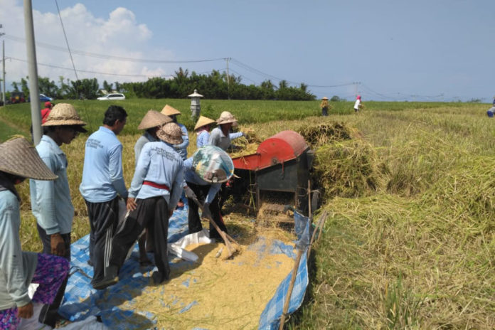 Perusda Sanjayaning Singasana Gandeng BUMDes Wujudkan Ekonomi Desa Yang Terkontrol 1