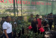 Pimpin Tanam Pohon, Gubernur Bali: Kita Diberikan Peringatan Agar Tidak Terlalu Asyik Menyiksa Alam