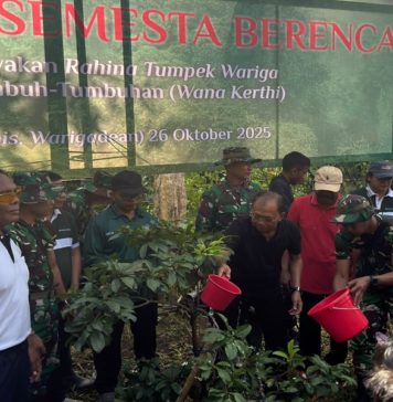 Pimpin Tanam Pohon, Gubernur Bali: Kita Diberikan Peringatan Agar Tidak Terlalu Asyik Menyiksa Alam
