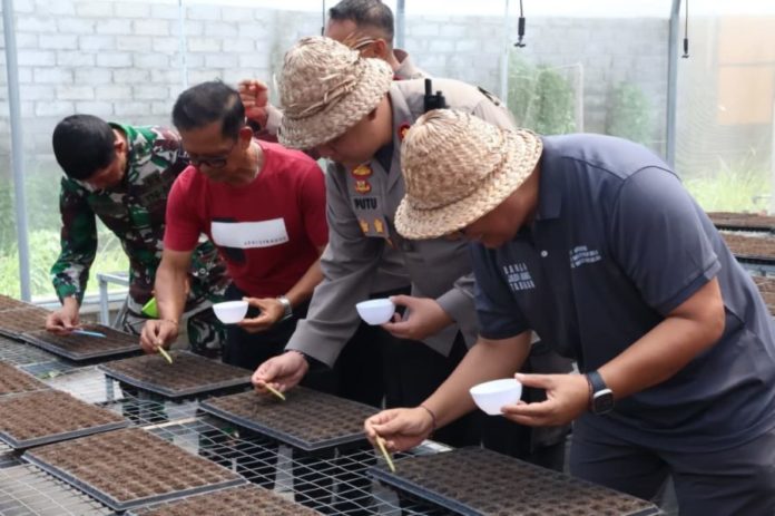 Produksi Bibit Cabai Green House Presisi Digenjot, Targetkan Tambahan 20 Ribu Tahun Ini 1