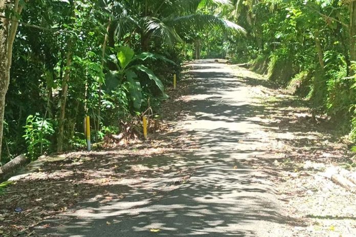 Progres Jalan Tol Gilimanuk Mengwi Belum Ada Kepastian, Ribuan Sertifikat Tanah Di Jembrana Masih Diblokir  1