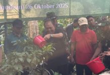 Gerakan Gotong Royong Semesta Berencana, Puluhan Jenis Pohon Ditanam di Sungai Ayung Bongkasa Pertiwi