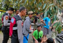 Rumah Warga Lemukih Kebakaran, Ratusan Kilo Cengkeh hingga Uang Puluhan Juta Hangus
