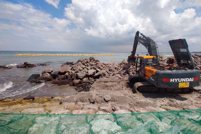Selamatkan Ekologi Pesisir Demi Masa Depan Bali 1