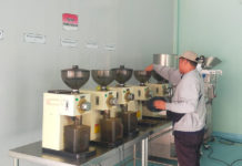 Sentra IKM Kopi di Catur Olah 15 Kg Kopi per Hari