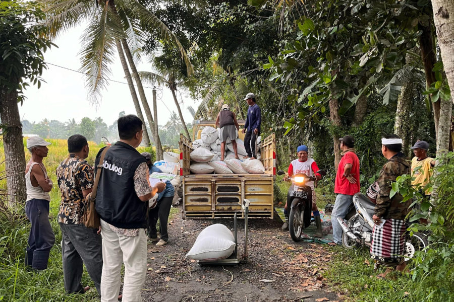 Pagsahingin Bulog Tree Serapan Beras Bulog di Bali Paling Tinggi di Kabupaten Tabanan ...