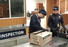 Tak Dilengkapi Pita Cukai, Jutaan Batang Rokok Ilegal Ditindak di Bali