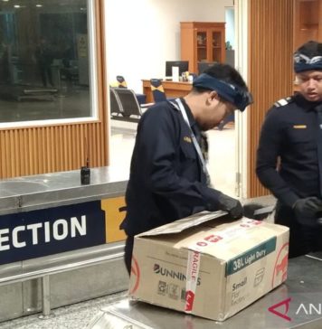 Tak Dilengkapi Pita Cukai, Jutaan Batang Rokok Ilegal Ditindak di Bali