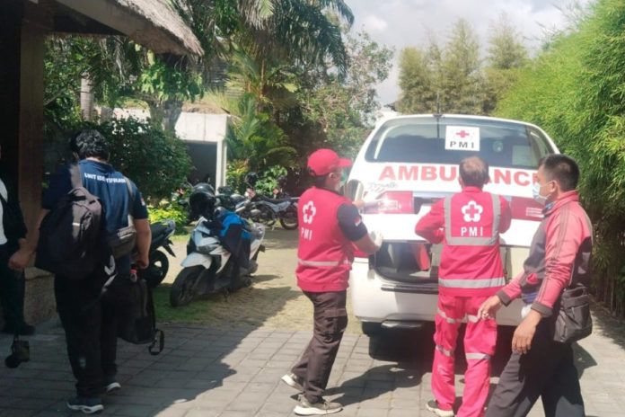 Tren Kasus DBD Di Denpasar Cenderung Melandai 1