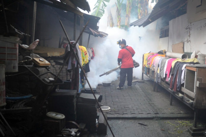 Tren Kasus DBD Di Denpasar Cenderung Melandai 2