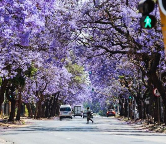 AS Tak Hadiri KTT G20 di Afrika Selatan