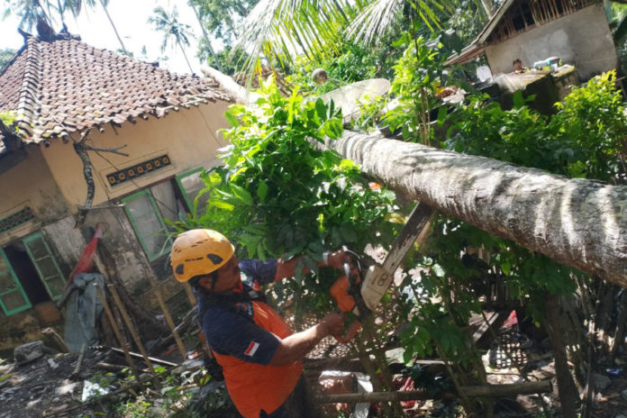 Atap Rumah Warga Jungutan Rusak Tertimpa Pohon 1