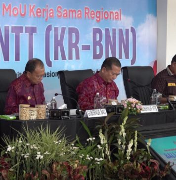 Bali Perkuat Kerja Sama Antarprovinsi Sunda Kecil dengan NTB dan NTT