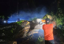 BPBD Tabanan Siapkan Layanan Emergency Call Hadapi Cuaca Ekstrem