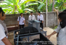 Budidaya Porang Bengkala Tembus Pasar Asia dan Eropa