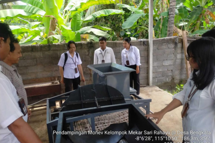 Budidaya Porang Bengkala Tembus Pasar Asia Eropa 1