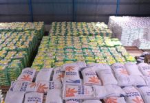 Bulog Sebut Stok Beras di Bali Mencukupi untuk Kuningan hingga Nataru