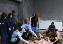 Dibuang Sembarangan, Limbah Pemotongan Babi Ancam Lingkungan dan Kesehatan Masyarakat