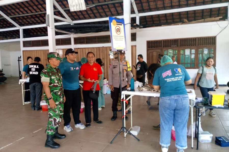 Dinas Pertanian Vaksinasi Rabies dan Sterilisasi Ratusan HPR di ...