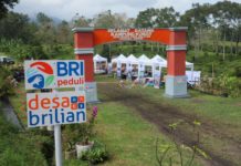 Dukung Asta Cita, BRI Perkuat Program Pemberdayaan UMKM Akselerasi Pemerataan Ekonomi