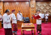 Gantikan Samsi Gunarta, Ini Kadishub Bali yang Baru