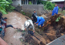 Gorong-gorong Terhalang Kayu Hutan, Air Meluap di Sumbersari