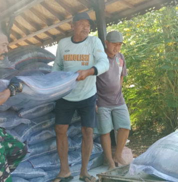 Harga Pupuk Subsidi Turun, Dinas Pertanian dan Pangan Awasi Penerapan HET