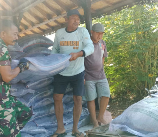 Harga Pupuk Subsidi Turun, Dinas Pertanian dan Pangan Awasi Penerapan HET